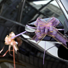 Flower Bow Ribbons