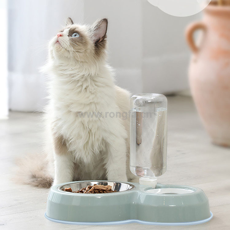 Pet Food Water Bowl