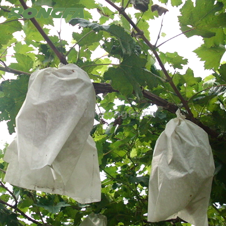 Protective Paper Bags for Garden Fruits