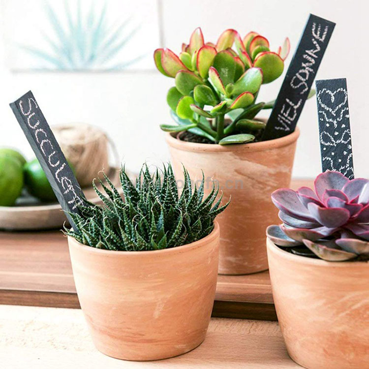 Slate Plants Labels