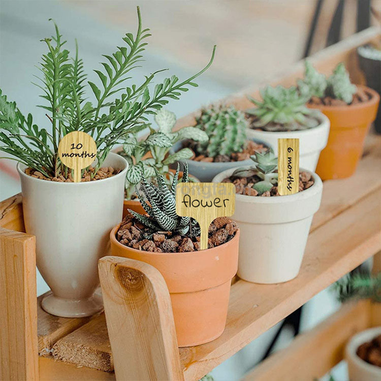 Natural Material Wooden Plants Labels